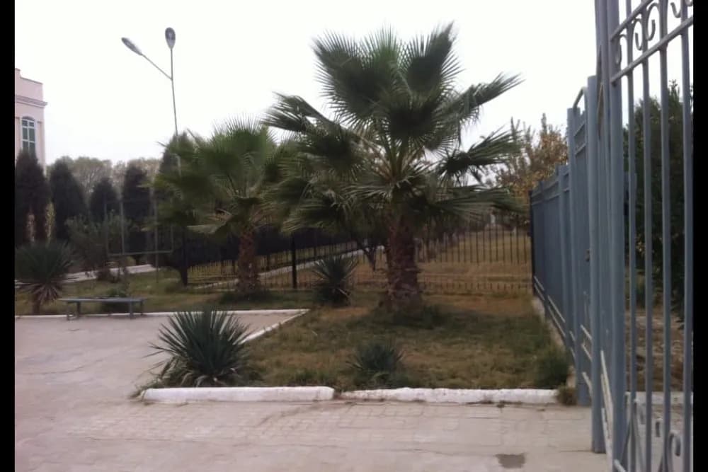 Fotogalereya
